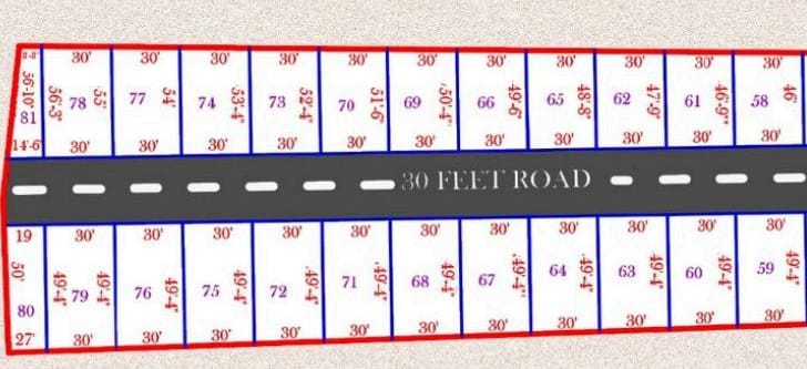 58-81
